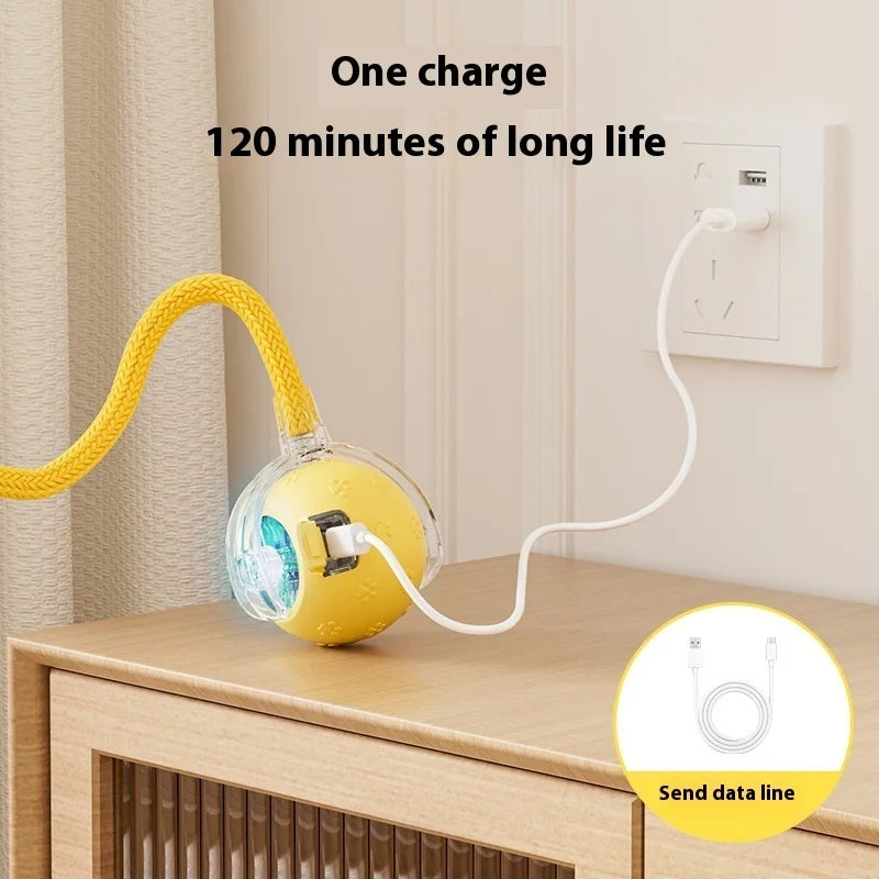 Smart Dog Toy | Interactive, Rechargeable & Bite-Resistant | Canine Gear Box