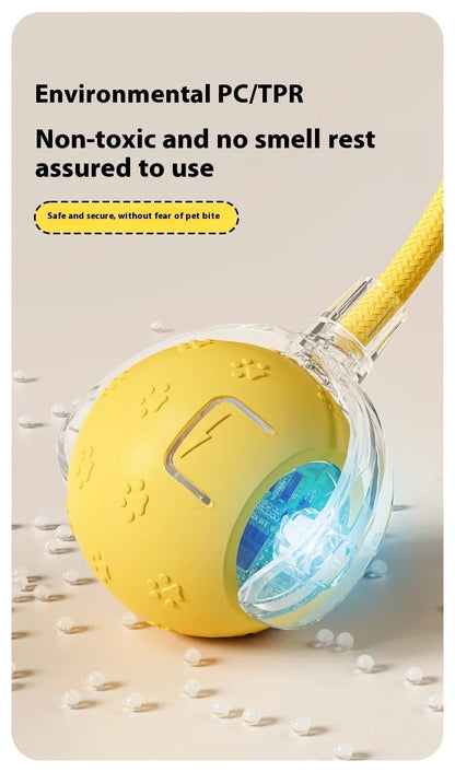 Smart Dog Toy | Interactive, Rechargeable & Bite-Resistant | Canine Gear Box