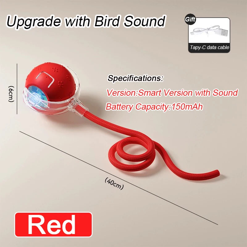 Smart Dog Toy | Interactive, Rechargeable & Bite-Resistant | Canine Gear Box