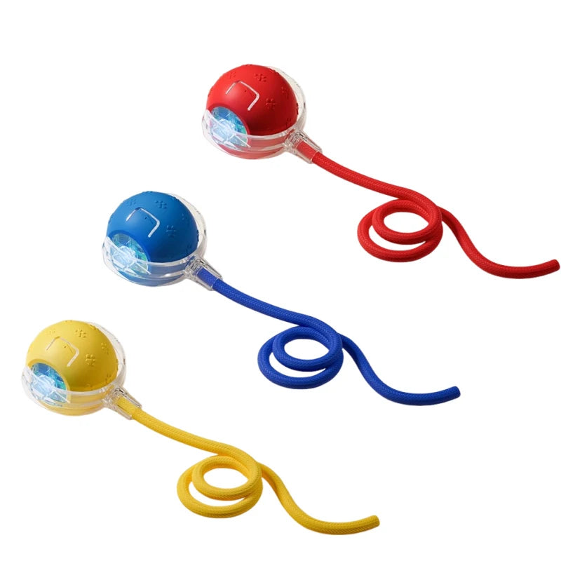 Smart Dog Toy | Interactive, Rechargeable & Bite-Resistant | Canine Gear Box