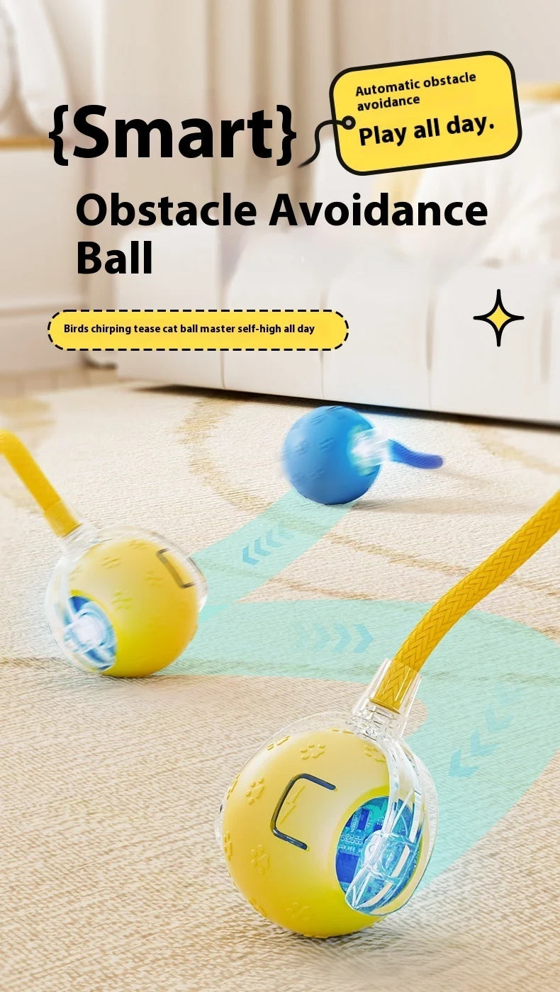 Smart Dog Toy | Interactive, Rechargeable & Bite-Resistant | Canine Gear Box