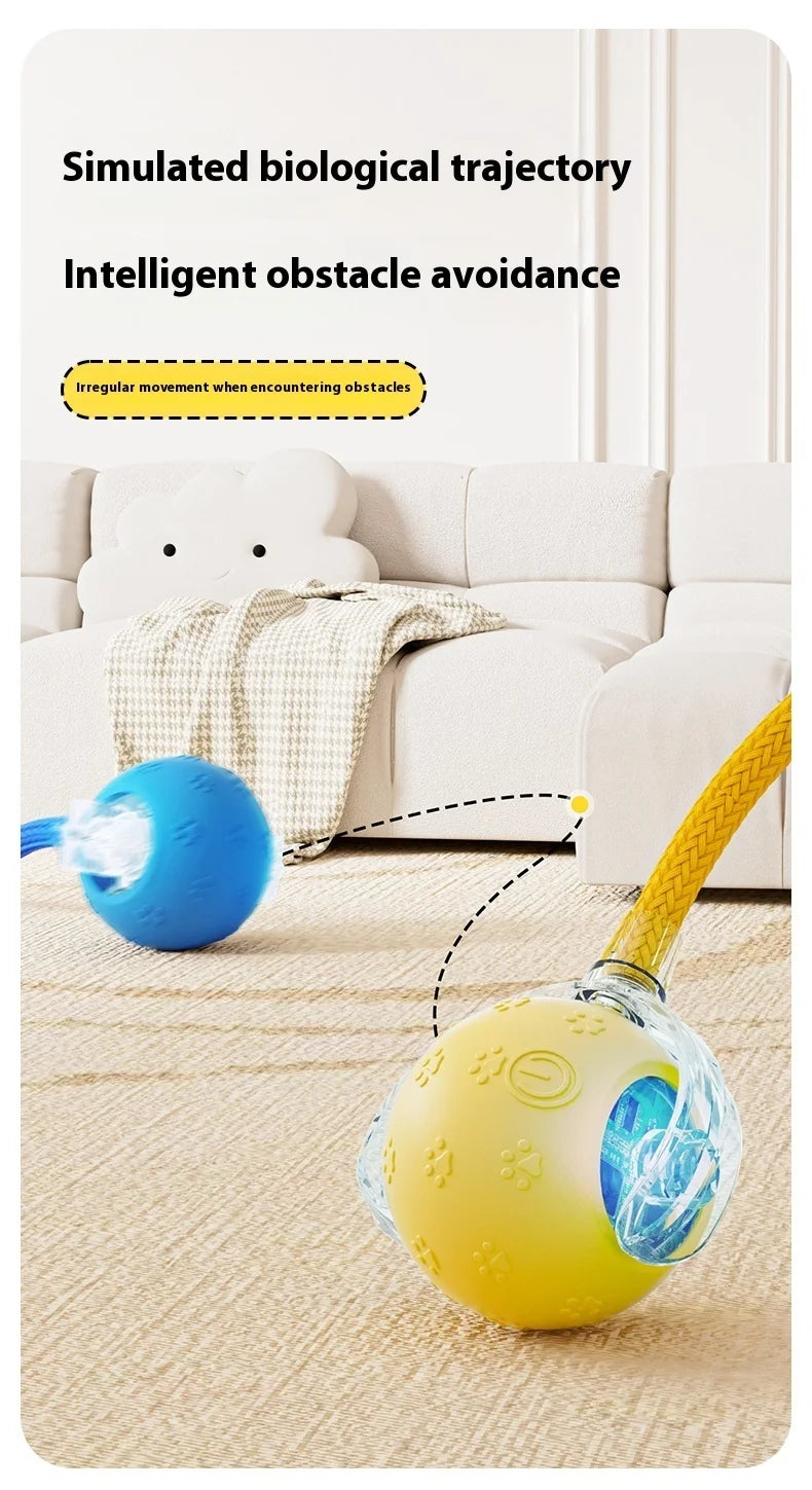 Smart Dog Toy | Interactive, Rechargeable & Bite-Resistant | Canine Gear Box