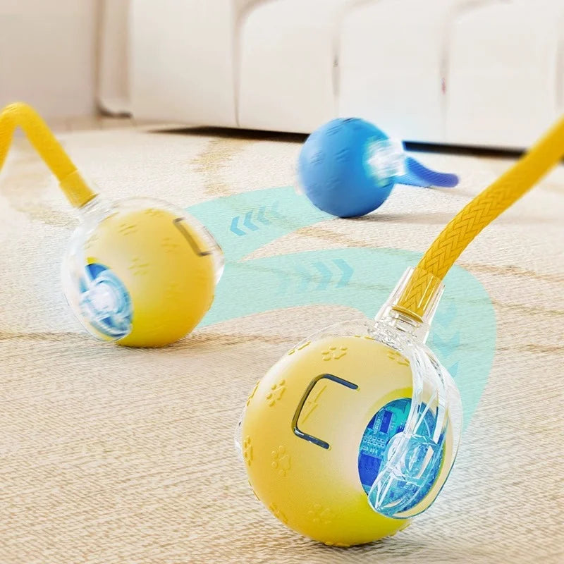 Smart Dog Toy | Interactive, Rechargeable & Bite-Resistant | Canine Gear Box