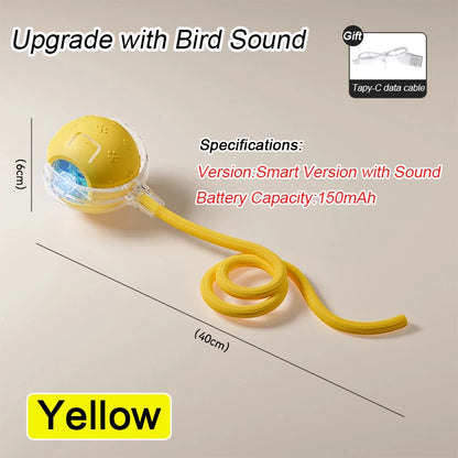 Smart Dog Toy | Interactive, Rechargeable & Bite-Resistant | Canine Gear Box